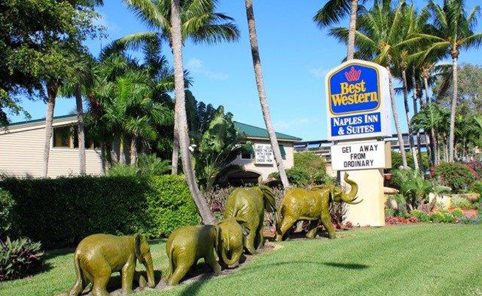 Airport Shuttle To And From Naples Best Western Plaza